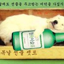 복