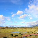 진영파크장 이미지