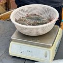 배곧어촌마을