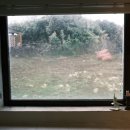 하도르방 이미지