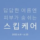 프로젝트여름 네이버블로그