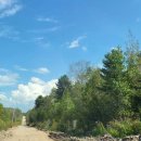 백두산농장 이미지