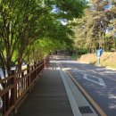 동방당구장 이미지