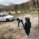 위크온 글램핑 | 나의 첫 글램핑 여행 (포천 위크온글램핑)