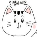 잘나가는 강아지 이미지