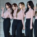 핑크라인 스포츠조선