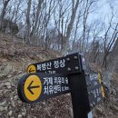 치유의숲 진입도로 이미지