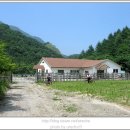 진산휴양림 이미지