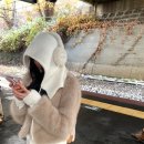 르플레인