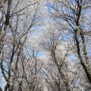 바둑교실2 이미지