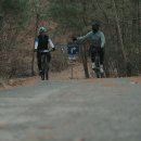 낙동강자전거길2 이미지