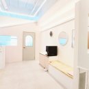 동일애견샵 이미지