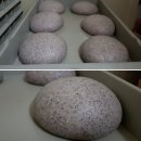 피자리아고 이미지