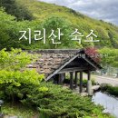 [산청] 조식 석식이 제공되는 자연 속 힐링 숙소 고운동천 내돈내산 후기
