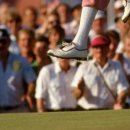 (주)미나투어 이미지