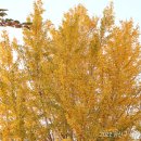 송정공원1(공원) 이미지