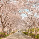 거제여자상업고등학교 이미지