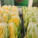 황금 절임배추 3.5박스 이미지