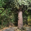 문경자연생태박물관 이미지