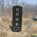 천태봉 Daum카페