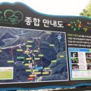 대관령 치유의 숲 이미지