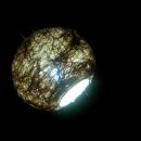 자연시간 이미지