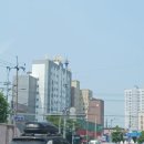 민들레공인중개사사무소 이미지