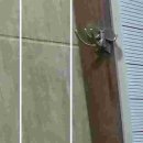 해나한의원 이미지