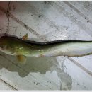 포인트낚시터 이미지