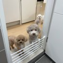 D-Style(디스타일) 이미지