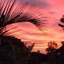 그날 오후 이미지