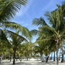 11650-7-6-3 | 보홀 6박7일 3일차 후기 | 셀프 웨딩스냅 + BBC 리조트 근처 데이유즈 + 반딧불이 투어 솔직 리뷰