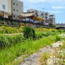 대전 근교 충남 공주 가볼만한곳, 여행 코스 축제 추천 이미지