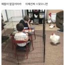 씨유 청도점 | 멕시코가는 수아의 카뱅 인턴 면접 후기 (25.10.13-10.27 일상정리)