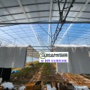 알파크린 이미지