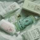 인터넷유니버스 | 내 돈 내산] 산타마리아 노벨라 인터넷 면세 후기 /신세계인터넷면세 유니버스 적용 할인