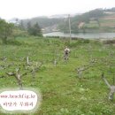 자연농원 Daum카페
