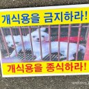 혜숙농장 | 비건세상을위한시민모임_동물권 집회 후기