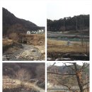 양정초등학교 이미지