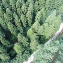 해랑나예 이미지