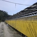 용인한우농장 이미지