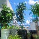 회덕농장 이미지