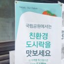 내도시락 이미지