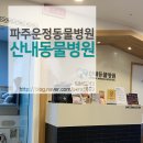 산내동물병원 이미지