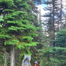 Blackcomb Ascent Trails 이미지