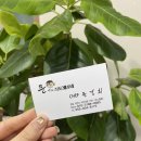 셰프문경희 네이버블로그