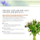 사바비안 - 제천시 용두천로30나길 4-5 | 사바비안