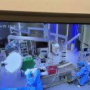 방실웃는 동물병원 | 양산 증산 에스동물병원 십자인대파열 수술 후기