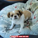 설악동물병원 이미지