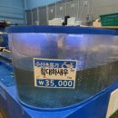 다드림식자재마트 이미지